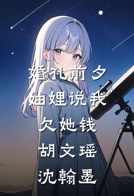 婚礼前夕，妯娌说我欠她钱胡文瑶沈翰墨