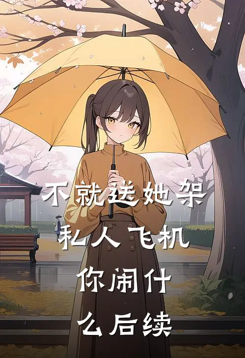 不就送她架私人飞机，你闹什么后续