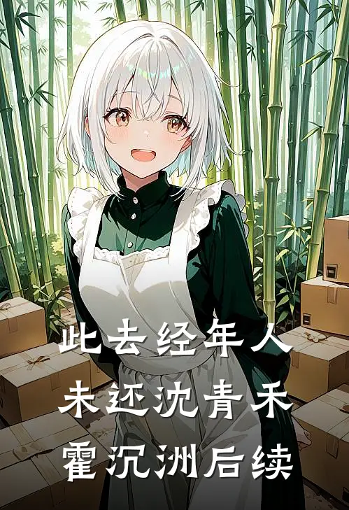 此去经年人未还沈青禾霍沉洲后续