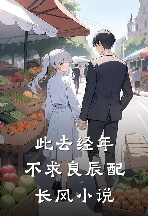 此去经年：不求良辰配长风小说