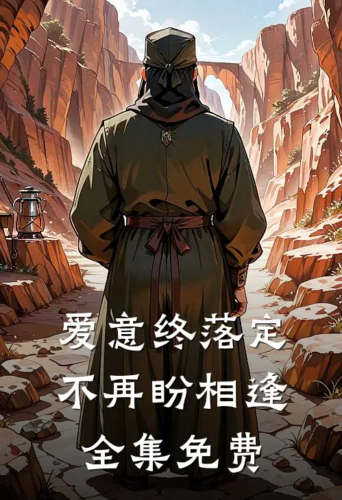 爱意终落定，不再盼相逢全集免费