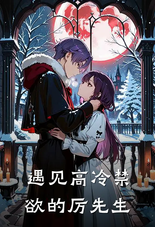 遇见高冷禁欲的厉先生