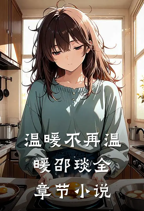 温暖不再温暖邵琰全章节小说
