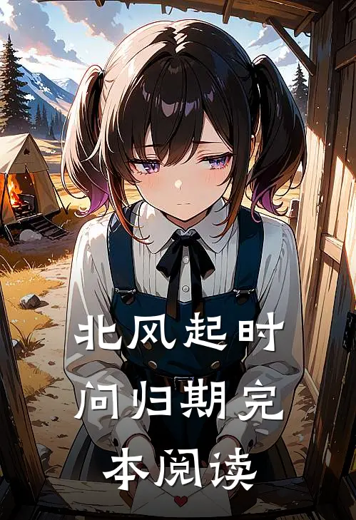 北风起时问归期完本阅读