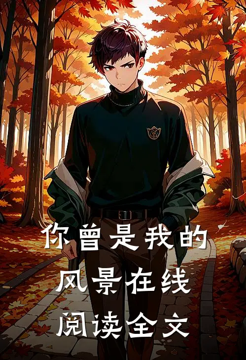 你曾是我的风景在线阅读全文