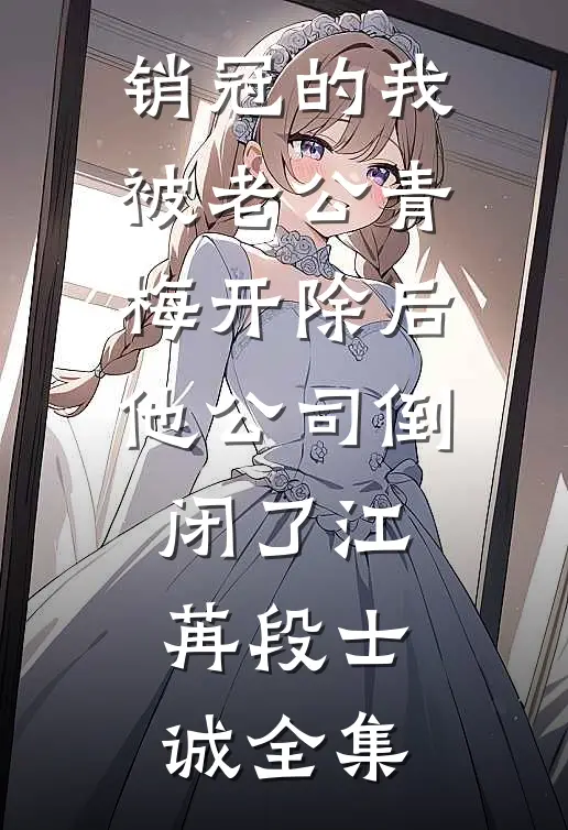 销冠的我被老公青梅开除后，他公司倒闭了江苒段士诚全集