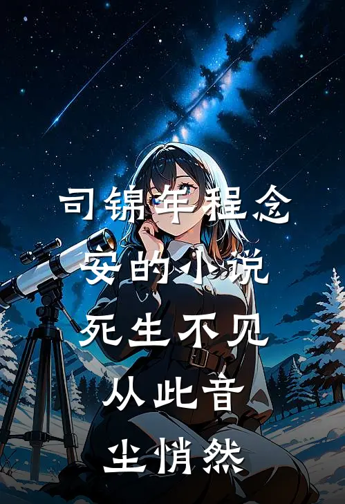 司锦年程念安的小说死生不见，从此音尘悄然
