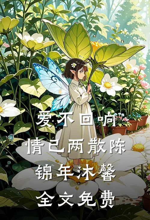 爱不回响，情已两散陈锦年沐馨全文免费