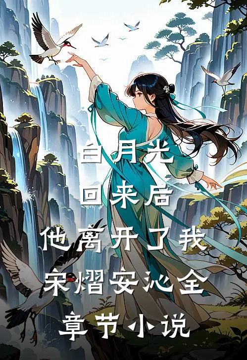 白月光回来后，他离开了我宋熠安沁全章节小说