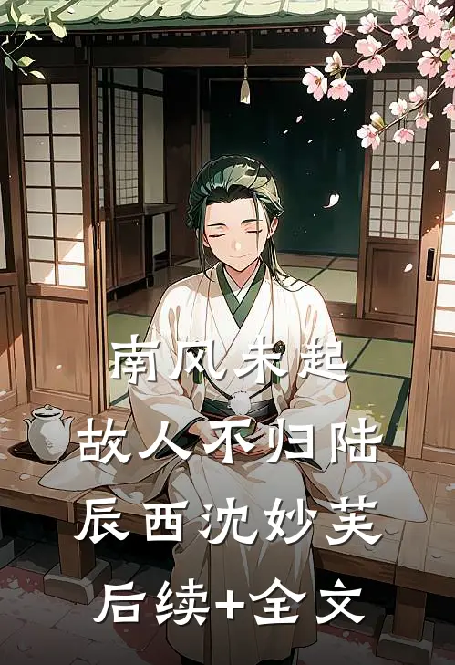 南风未起，故人不归陆辰西沈妙芙后续+全文