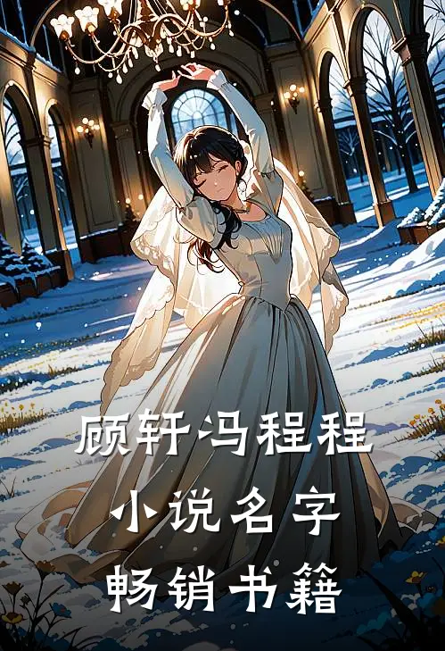 顾轩冯程程小说名字畅销书籍