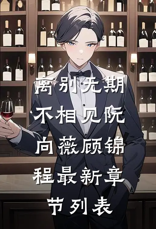 离别无期不相见阮向薇顾锦程最新章节列表
