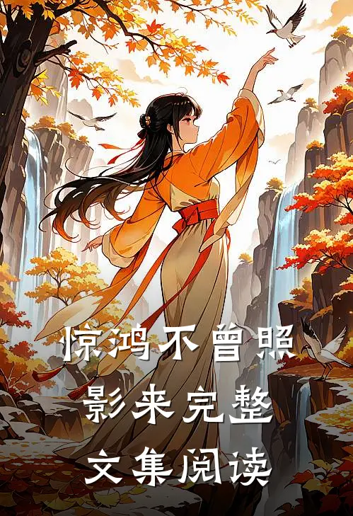 惊鸿不曾照影来完整文集阅读