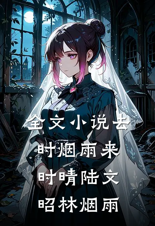 全文小说去时烟雨来时晴陆文昭林烟雨