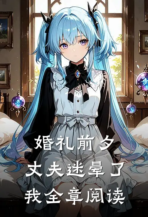 婚礼前夕，丈夫迷晕了我全章阅读