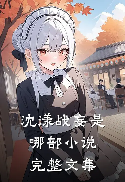 沈漾战妄是哪部小说完整文集
