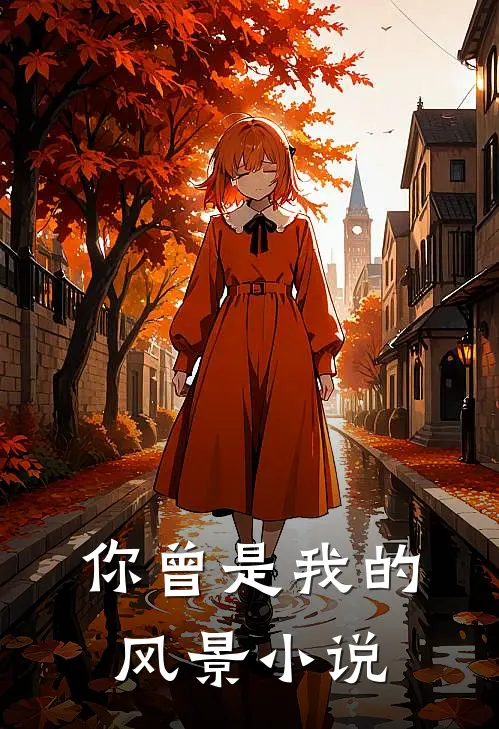 你曾是我的风景小说