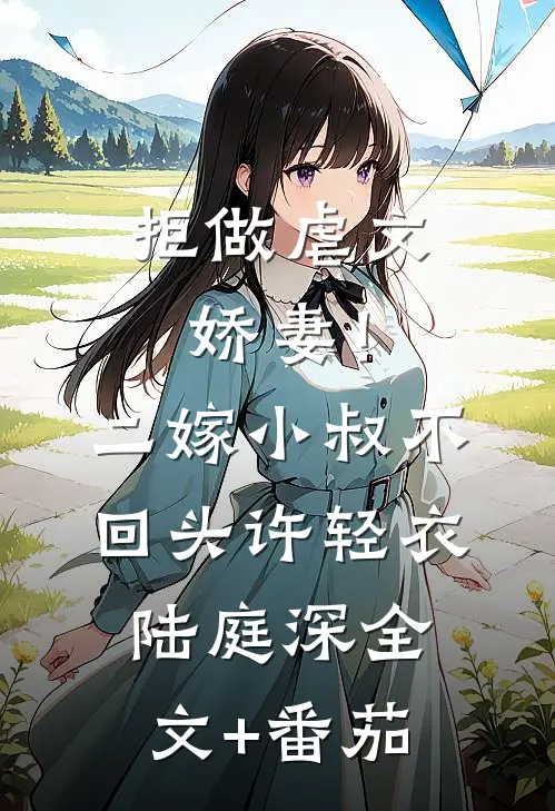 拒做虐文娇妻！二嫁小叔不回头许轻衣陆庭深全文+番茄