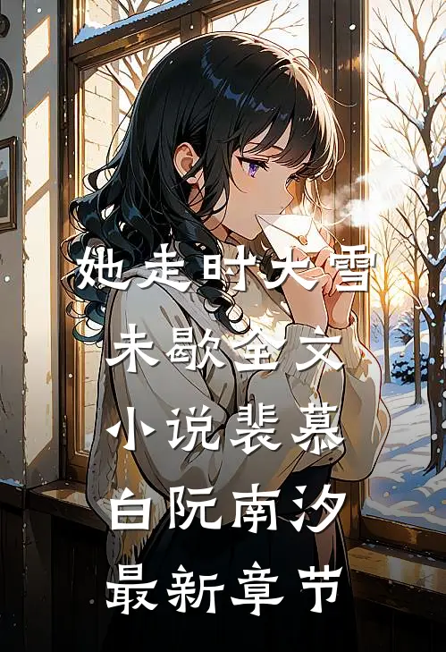 她走时大雪未歇全文小说裴慕白阮南汐最新章节