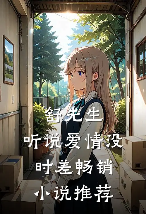 舒先生，听说爱情没时差畅销小说推荐