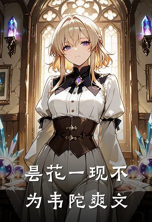 昙花一现不为韦陀爽文