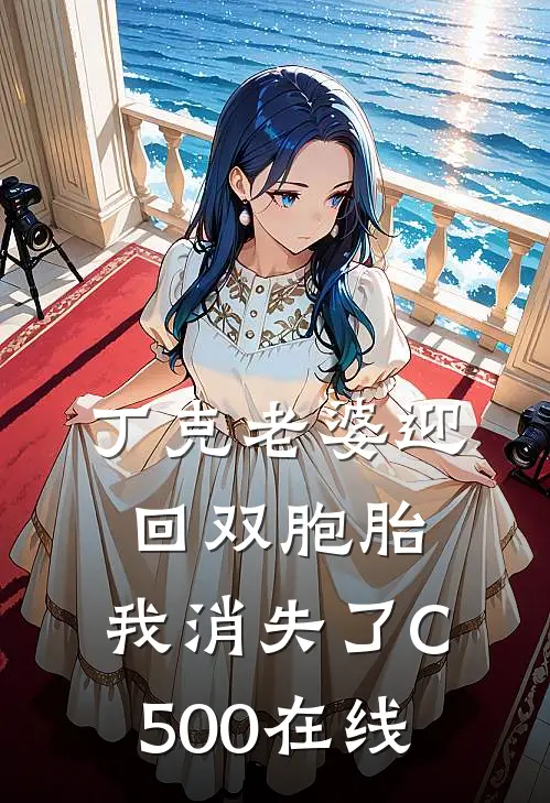 丁克老婆迎回双胞胎，我消失了C500在线