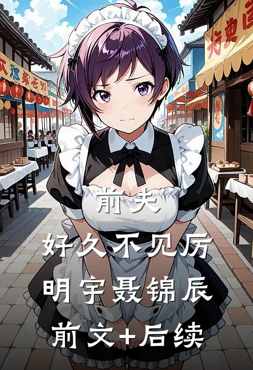 前夫，好久不见厉明宇聂锦辰前文+后续