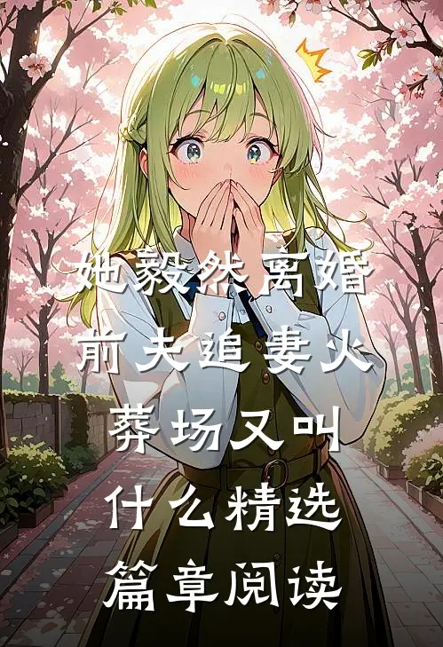 她毅然离婚前夫追妻火葬场又叫什么精选篇章阅读