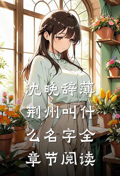 沈晚辞薄荆州叫什么名字全章节阅读