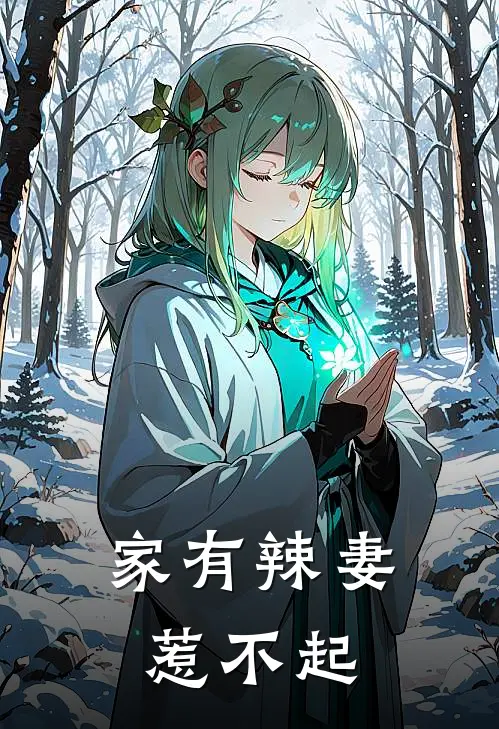 家有辣妻惹不起